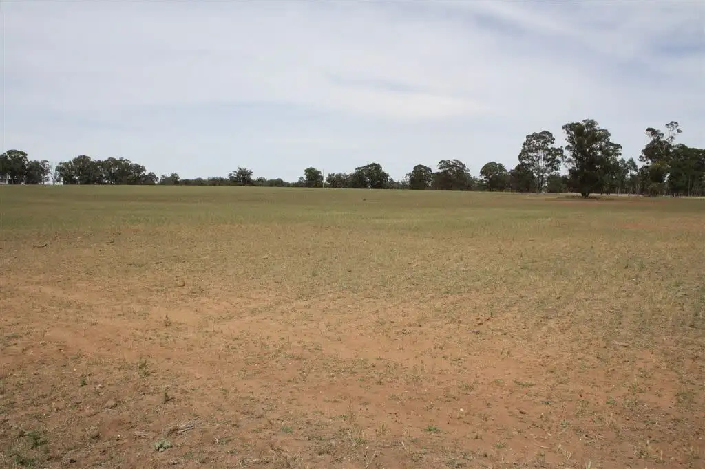 Main view of Homely rural property listing, 621 Flora Reserve road, Gilgandra NSW 2827