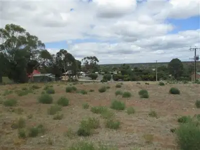 Second view of Homely land listing, 30 Nildottie Road, Swan Reach SA 5354