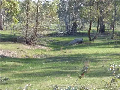Fourth view of Homely rural property listing, Ca 244a Deep Lead Road, Stawell VIC 3380