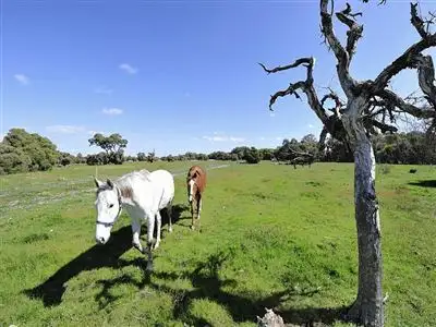Third view of Homely land listing, Lot 554 Dirk Hartog Drive, Nambeelup WA 6207