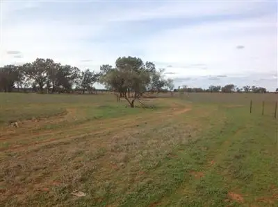Second view of Homely rural property listing, Wangaroa/4577 Trida Road, Hillston NSW 2675