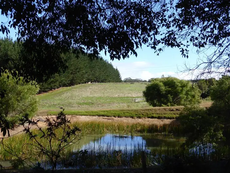 Main view of Homely rural property listing, 44 Charlie Road, Northcliffe WA 6262