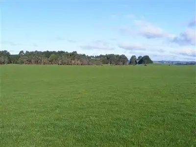 Main view of Homely rural property listing, 17245 Bass Highway, Boat Harbour TAS 7321