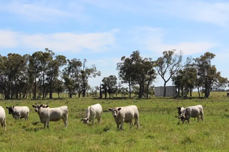Fifth view of Homely rural property listing, 278 Redmond West Road, Redmond WA 6327