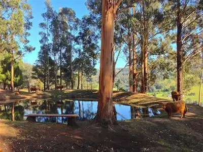 Sixth view of Homely house listing, 125 Swamp Road, Franklin TAS 7113