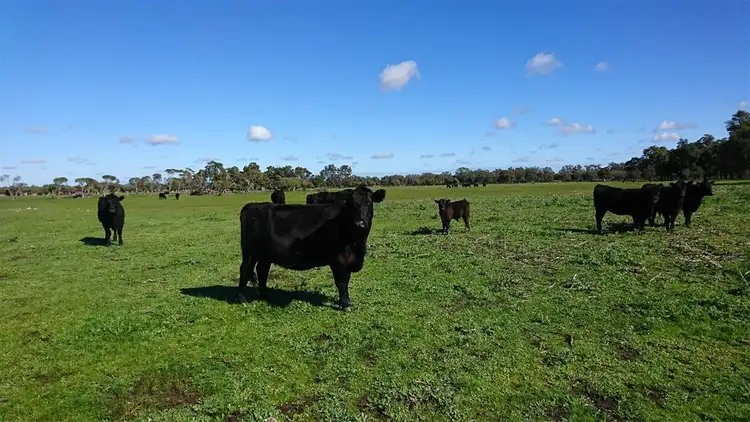 Sixth view of Homely rural property listing, Lot 2113 Brand Highway, Gingin WA 6503