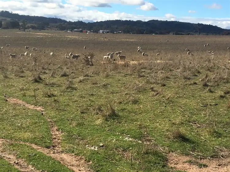 Seventh view of Homely rural property listing, Lot 85 Berrabangalo Creek Road, Gunning NSW 2581