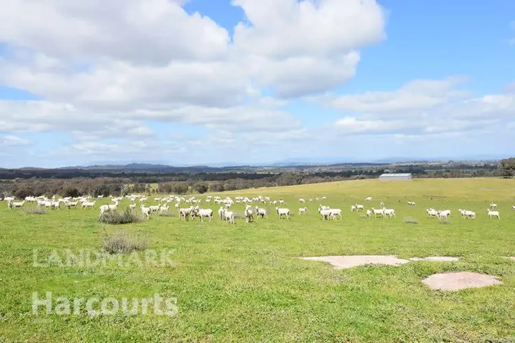 Main view of Homely rural property listing, 140 Springdale Road, Eldorado VIC 3746