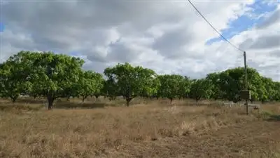 Third view of Homely rural property listing, 90 Bartlett Road, Horseshoe Lagoon QLD 4809