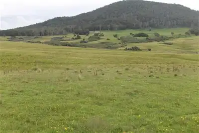 Third view of Homely rural property listing, 27 Roberts Road, Braidwood NSW 2622