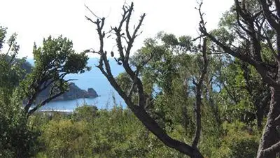 Fourth view of Homely land listing, 70C Irby Boulevard, Sisters Beach TAS 7321