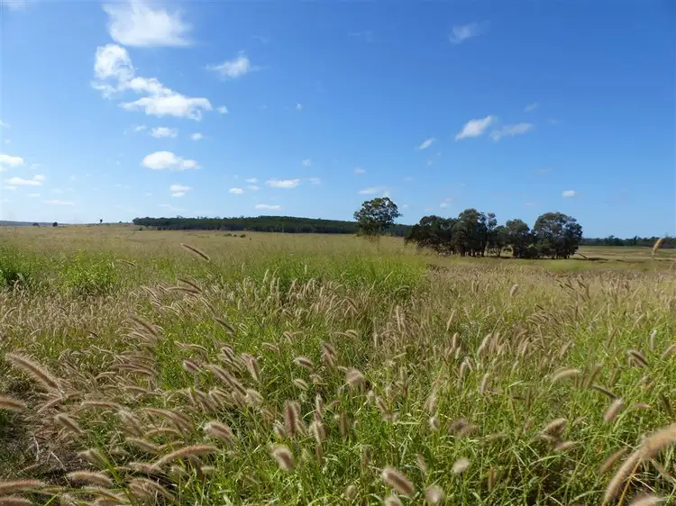 Fourth view of Homely rural property listing, . "Box Flat", Taroom QLD 4420