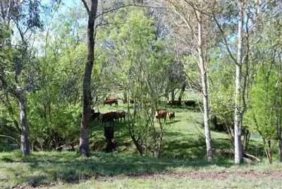 Sixth view of Homely rural property listing, 175 Limestone Road, Yea VIC 3717