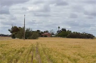 Fifth view of Homely rural property listing, 340 Haeusler Road, Lameroo SA 5302
