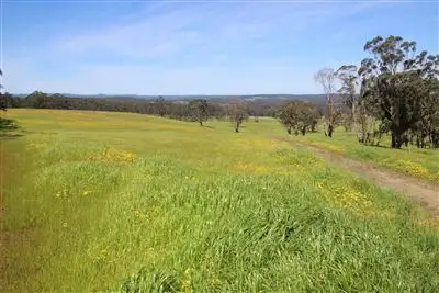 "Saddler" Lavers Hill - Cobden Road, Kennedys Creek VIC 3239