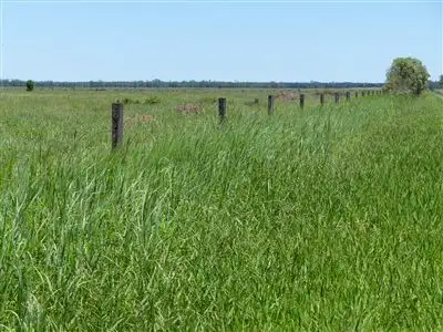 Third view of Homely rural property listing, . "Redmarley", Condamine QLD 4416