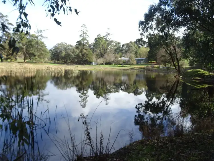 Second view of Homely rural property listing, 523 Balbarrup Road, Manjimup WA 6258