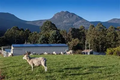 Fourth view of Homely house listing, 33 Bennetts Road, Mountain River TAS 7109