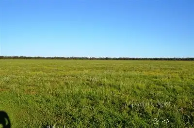 Fourth view of Homely rural property listing, * Darling Downs, Cobar NSW 2835
