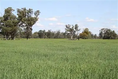 Fourth view of Homely rural property listing, 12505 Merri Merri Rd, Coonamble NSW 2829