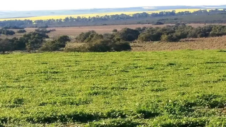 Second view of Homely rural property listing, 200 Bibby Road, Badgingarra WA 6521