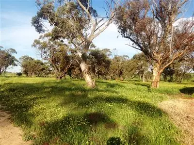 Third view of Homely house listing, 1104 Parrawilla Road, Cunderdin WA 6407