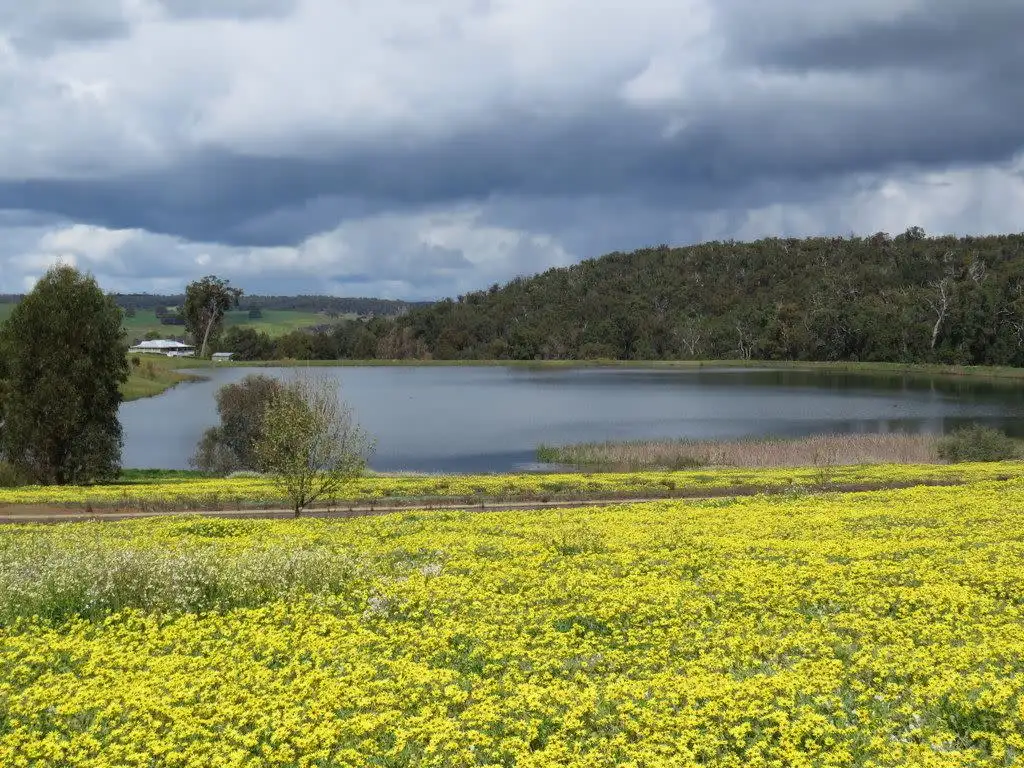 Main view of Homely land listing, 12 Lakeview Cres, Bridgetown WA 6255