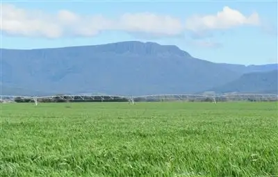 Fifth view of Homely rural property listing, 1000 Bishopsbourne Road, Bishopsbourne TAS 7301