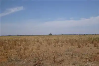 Third view of Homely rural property listing, " RED TANK", Nyngan NSW 2825