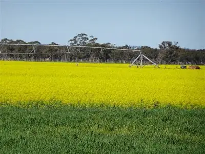 Seventh view of Homely rural property listing, 4855 Riddoch Highway, Padthaway SA 5271