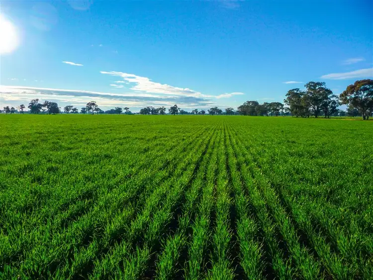 Lot 881 Drain Lane, Mulwala NSW 2647