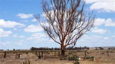 Second view of Homely rural property listing, 1103 Tammin - Wyalkatchem Road, Tammin WA 6409