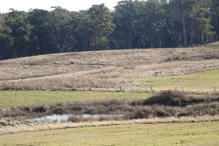 Fourth view of Homely rural property listing, 3196 West Tamar Highway, Sidmouth TAS 7270