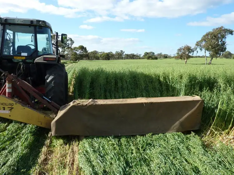 Sixth view of Homely rural property listing, . Boothby Road, Tintinara SA 5266