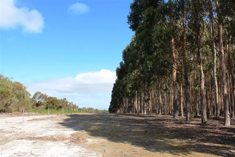 Sixth view of Homely rural property listing, 44493 South Coast Hwy, Albany WA 6330