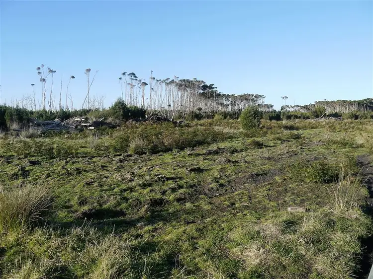 Seventh view of Homely rural property listing, 160 Youngs Road, Yambacoona TAS 7256