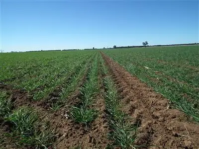 Sixth view of Homely rural property listing, 1340 Yulabilla Rd, Condamine QLD 4416