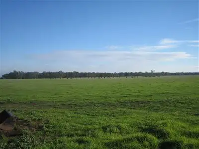 Sixth view of Homely rural property listing, 1751 Sale - Toongabbie Road, Toongabbie VIC 3856