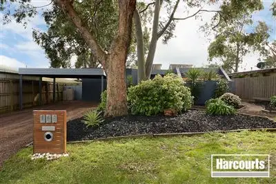 Main view of Homely house listing, 161 North Road, Langwarrin VIC 3910