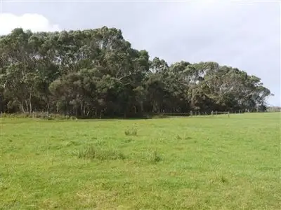 Sixth view of Homely rural property listing, 423 Millers Road, Lymwood TAS 7256