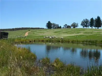 Third view of Homely rural property listing, 9402 Black Georges Road, Middlesex WA 6258