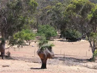 Third view of Homely rural property listing, Address available on request