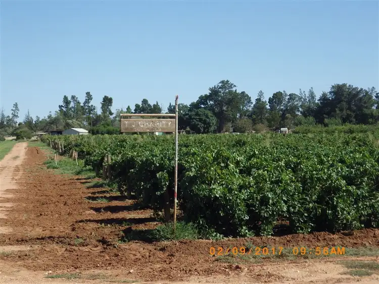 Sixth view of Homely rural property listing, 71 Scott Road, Monash SA 5342