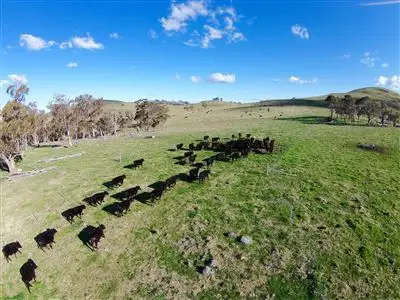 2224 Wongwibinda Road, Wongwibinda NSW 2350