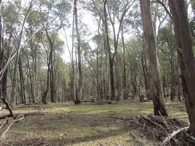 Third view of Homely rural property listing, Lot 3 Penny Lane, Ruffy VIC 3666