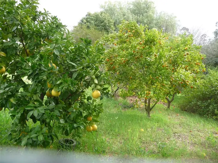 Fifth view of Homely land listing, 3 Carey St, Bridgetown WA 6255
