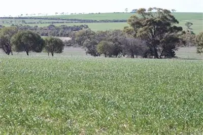 Second view of Homely rural property listing, Address available on request