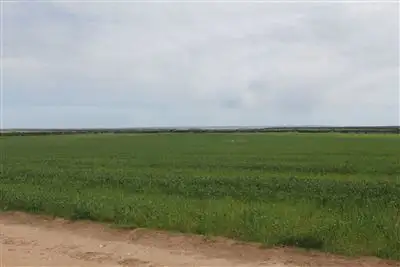 Fourth view of Homely rural property listing, ' Moolgerie', Streaky Bay SA 5680