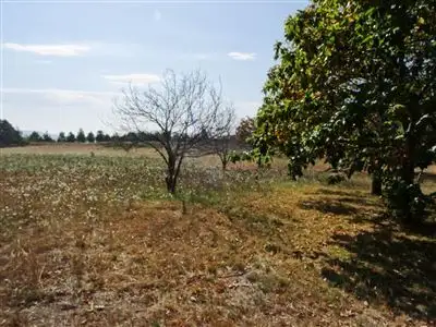 Sixth view of Homely rural property listing, 30 Old Highlands Road, Highlands VIC 3660