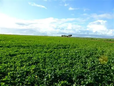 Third view of Homely rural property listing, 104 McArdle Road, Avon SA 5501